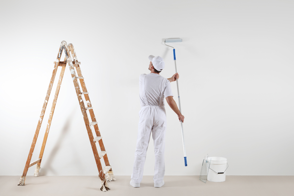Painter - Area of Application