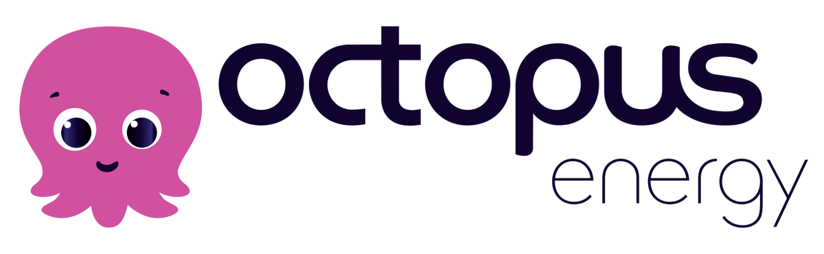 octopus energy logo kunde erfahrungsbericht