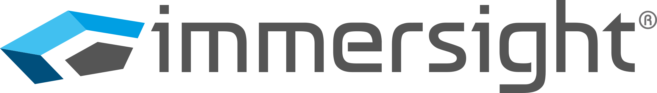 immersight Logo