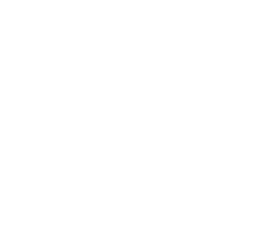 Über 10 Jahre Erfahrung - immersight GmbH