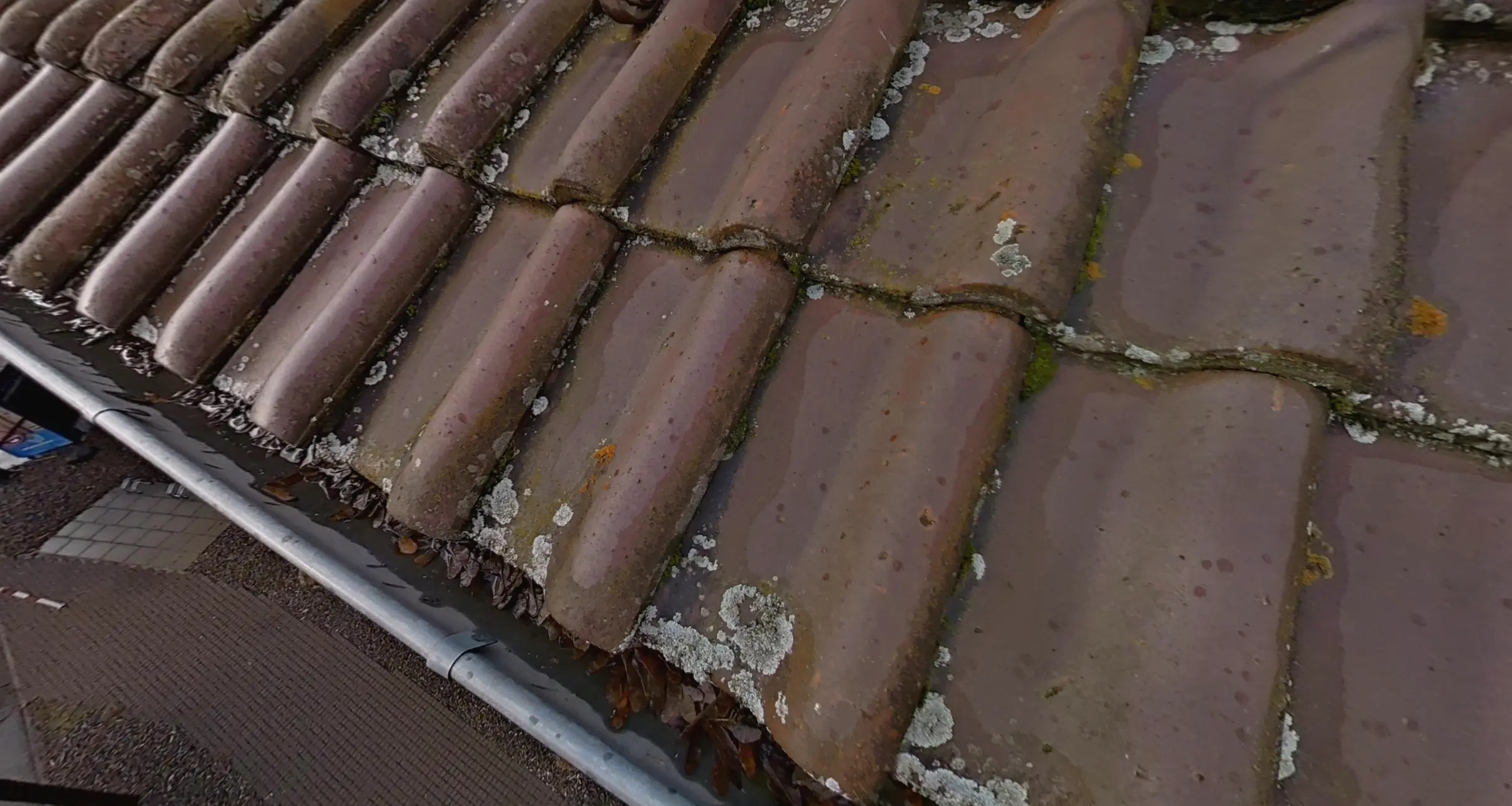 Dachrinneninspektion immersight 360Grad Aufnahme