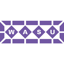 WASU Baukeramik immersight Logo